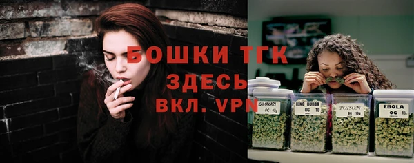 стафф Осинники