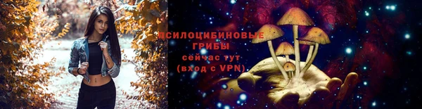 дмт Абинск