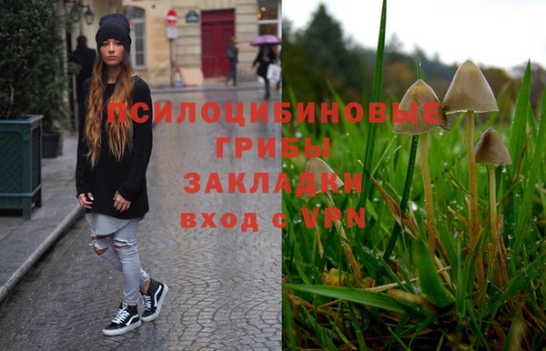 дмт Абинск