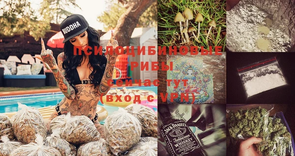 гашик Абаза
