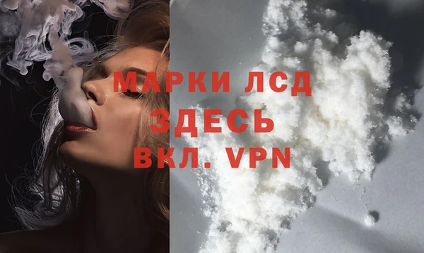 стафф Осинники