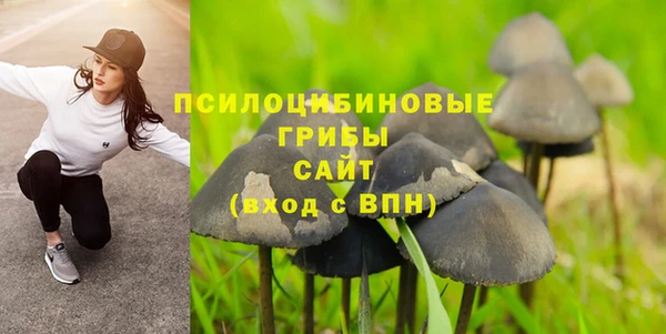 гашик Абаза