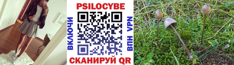Галлюциногенные грибы мицелий  что такое   площадка формула  Покачи 